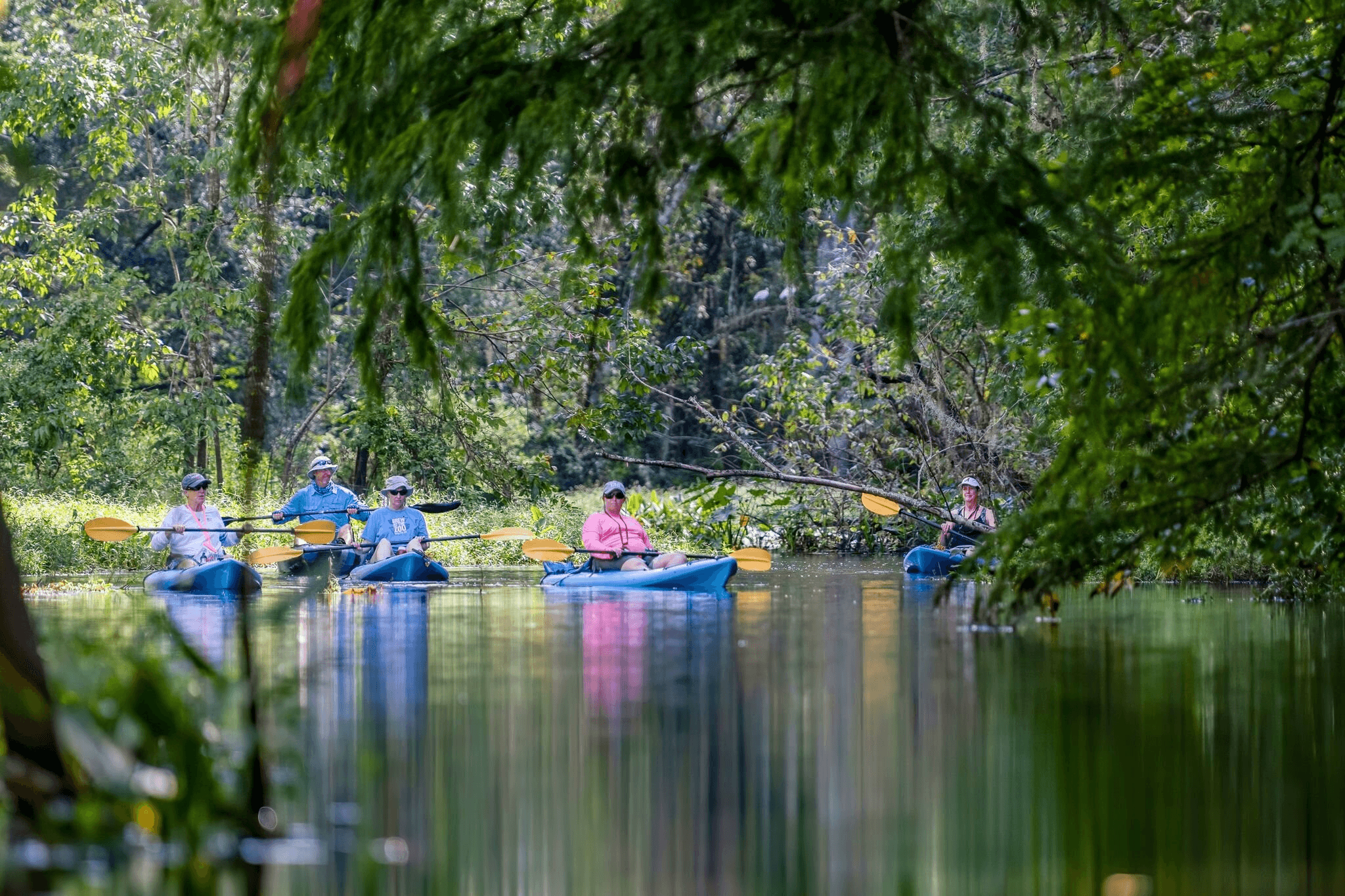 Mangrove Kayak Tours with Capt Yak in Tierra Verde