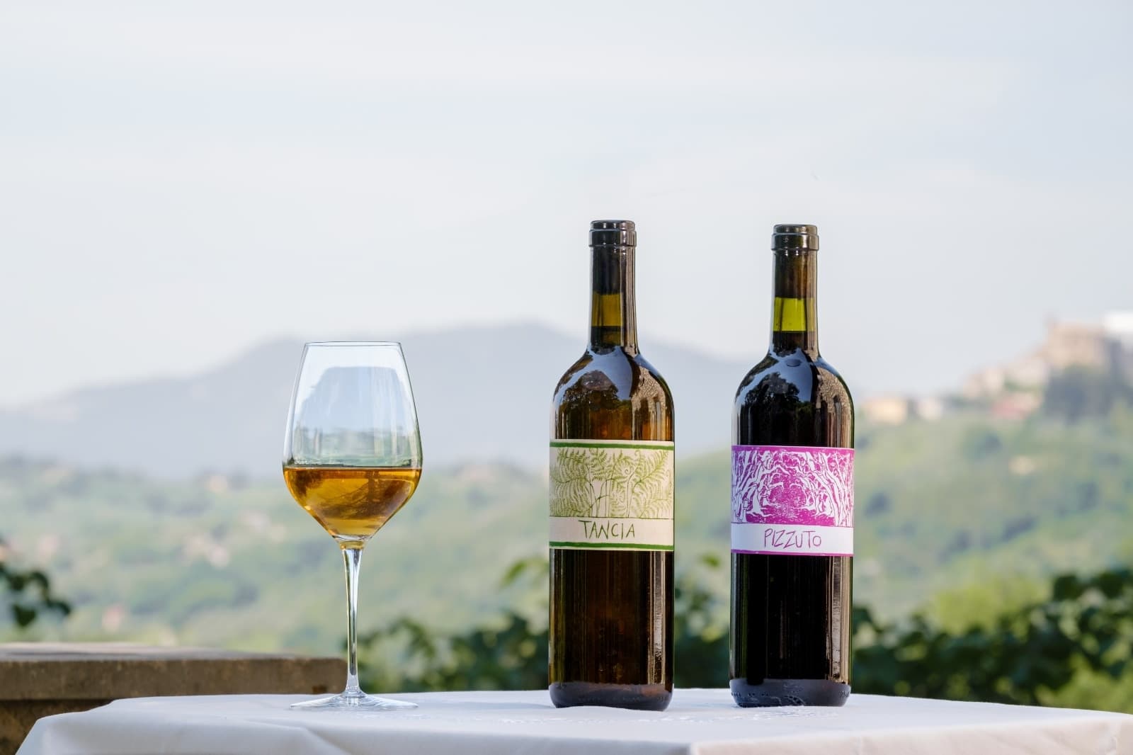 Sabina E-Bike & Natural Wine Tasting — Casperia Day Tour Near Rome photo 1