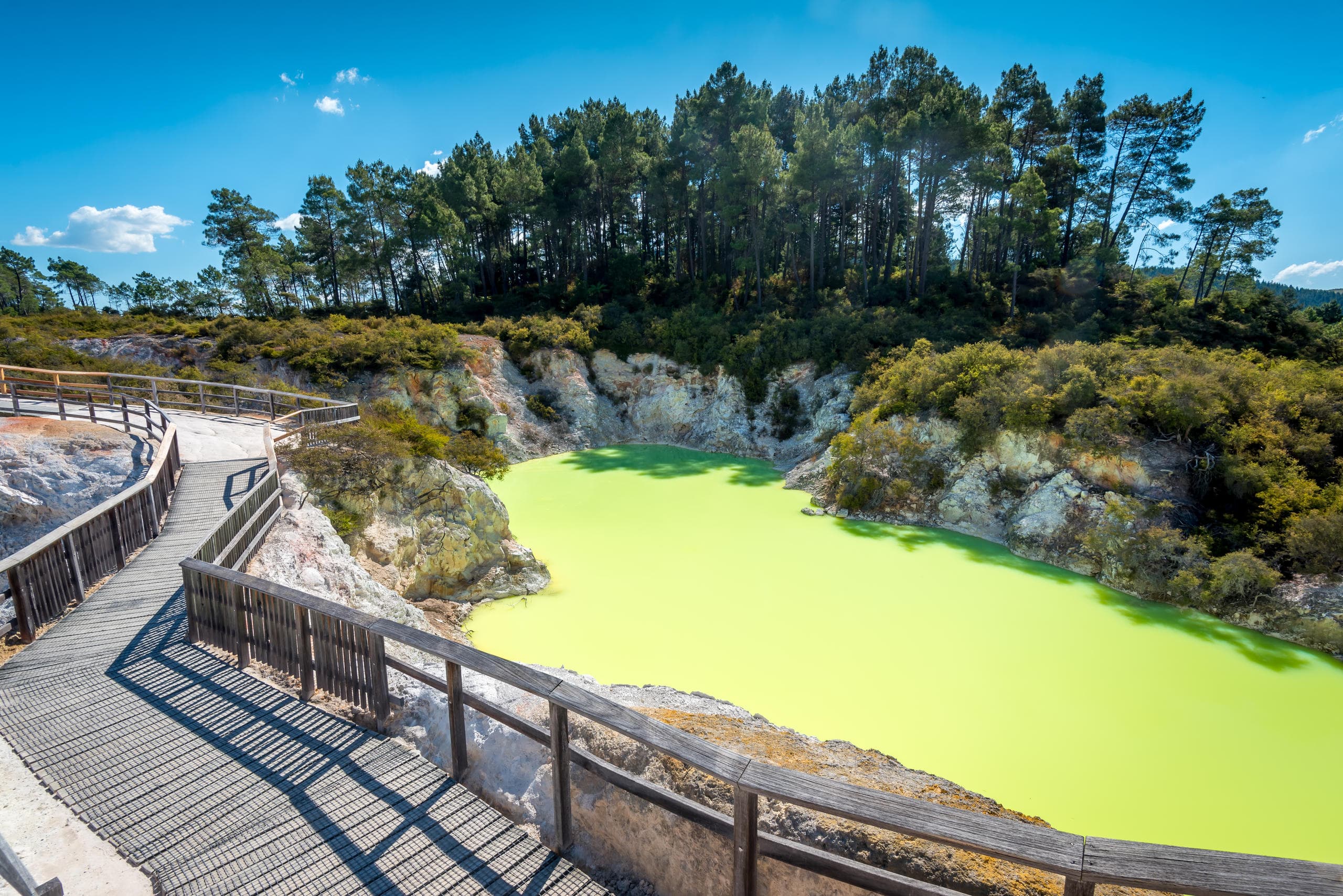Geothermal Adventure with ExperienceKart in Auckland