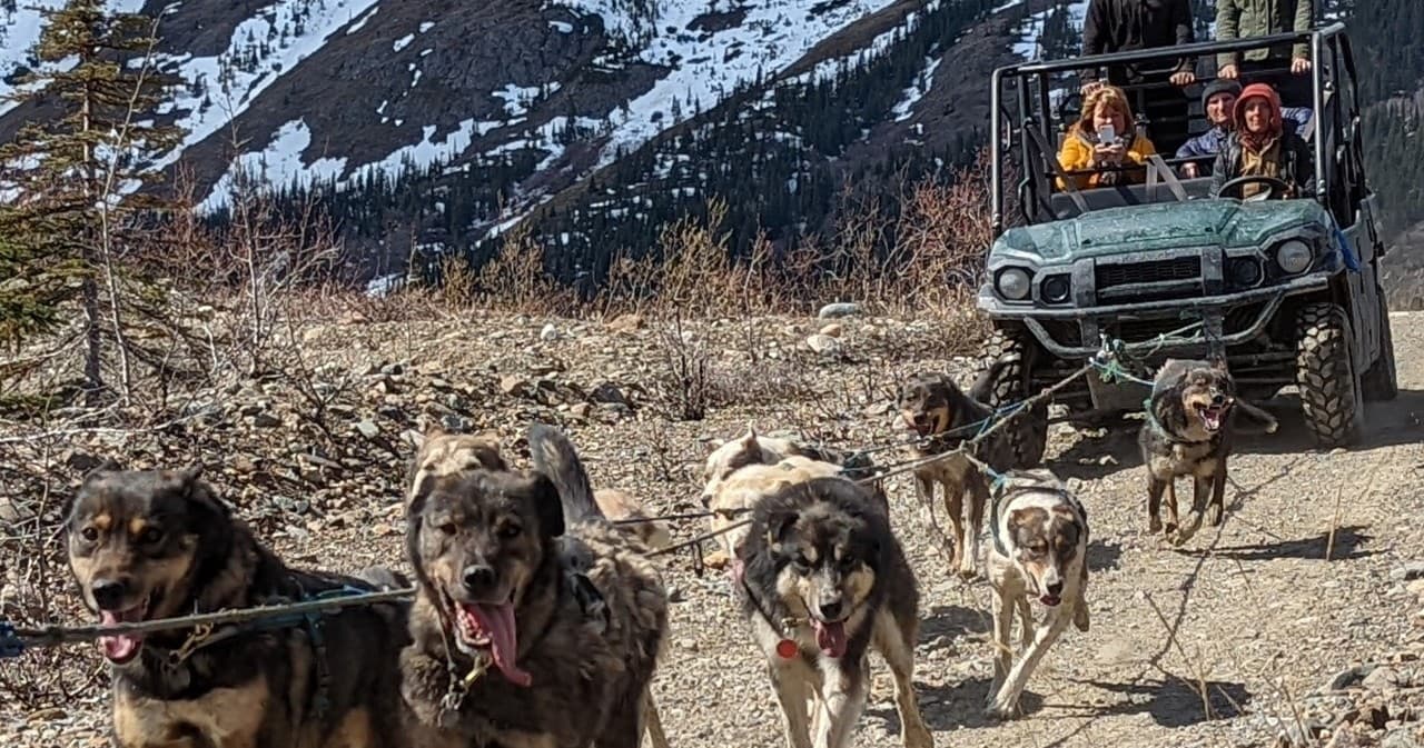 Yukon Sled Dogs Experience at Skagway Tours