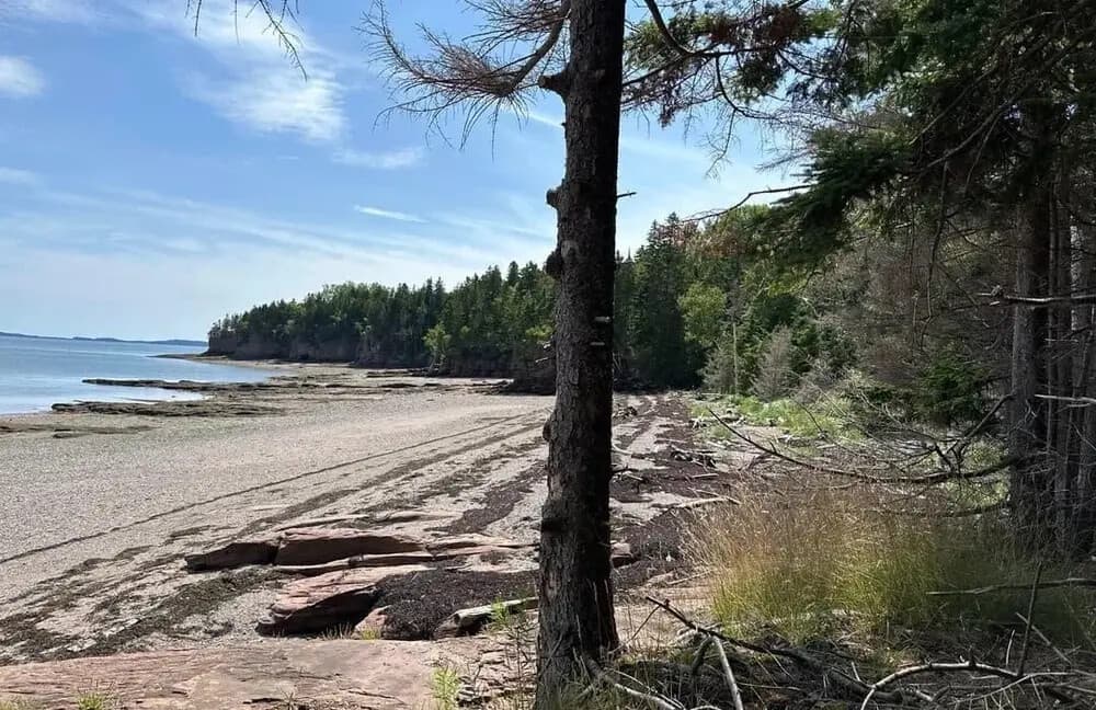 Ministers Island Low-Tide Guided Hike: Cross the Bar to Van Horne’s Bay of Fundy Estate