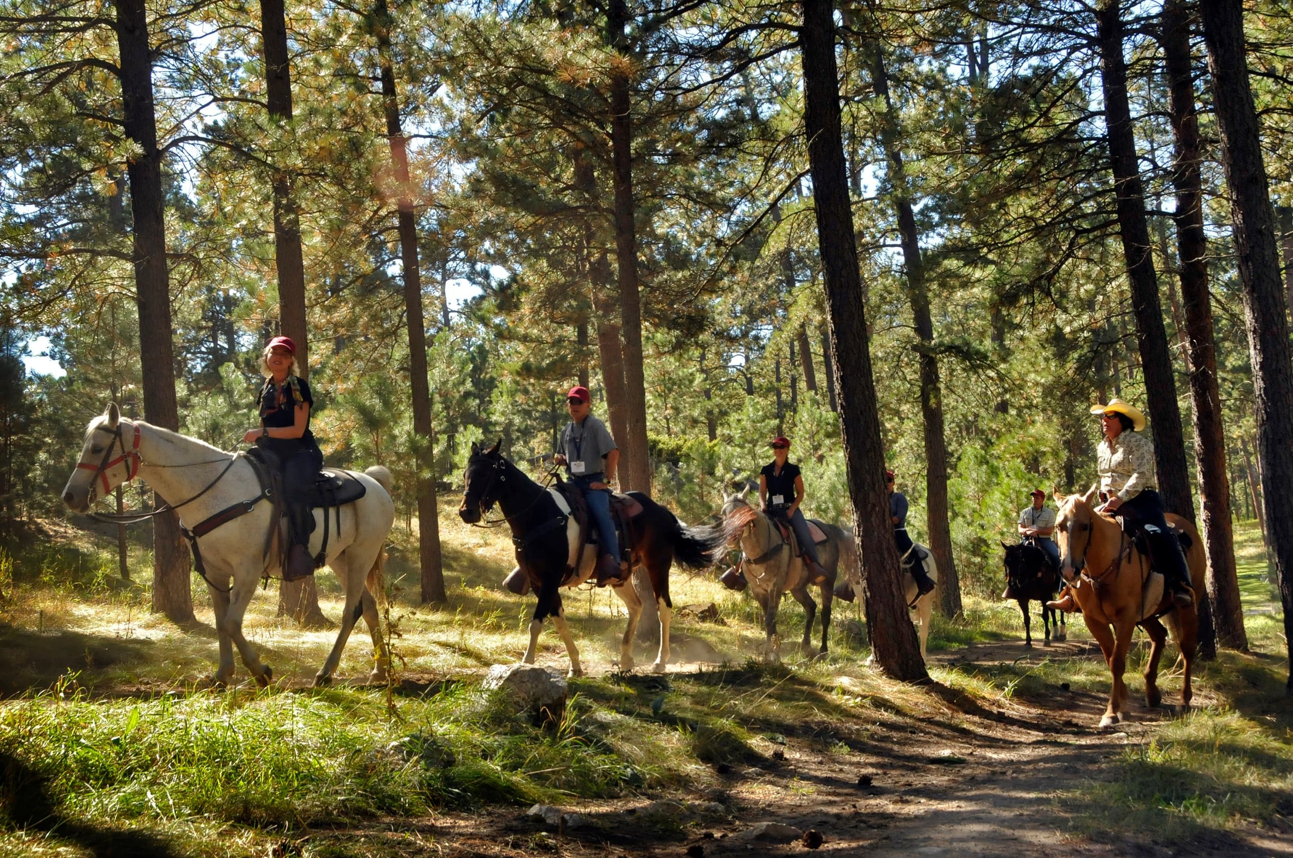 Half Day Trail Ride in Custer, South Dakota