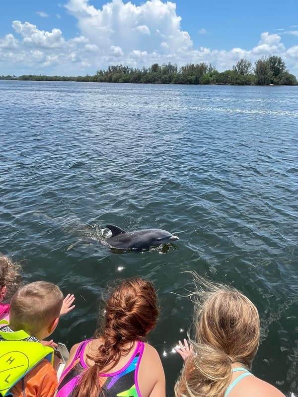 Dolphin & Island Trips with Gulf Coast Boat Tours in Tarpon Springs