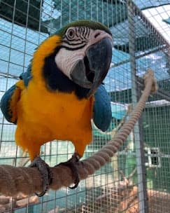 Fauna Algarvia photo 1