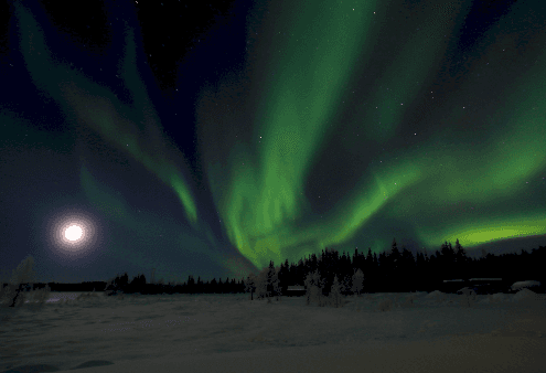 Aurora borealis over snowy wilderness, night-time aurora viewing