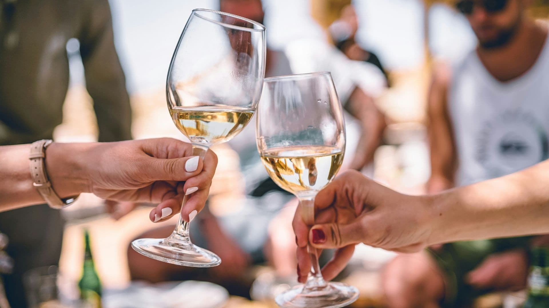 Wildlife & Wine Adventure in Hunter Valley with Sydney Top Tours