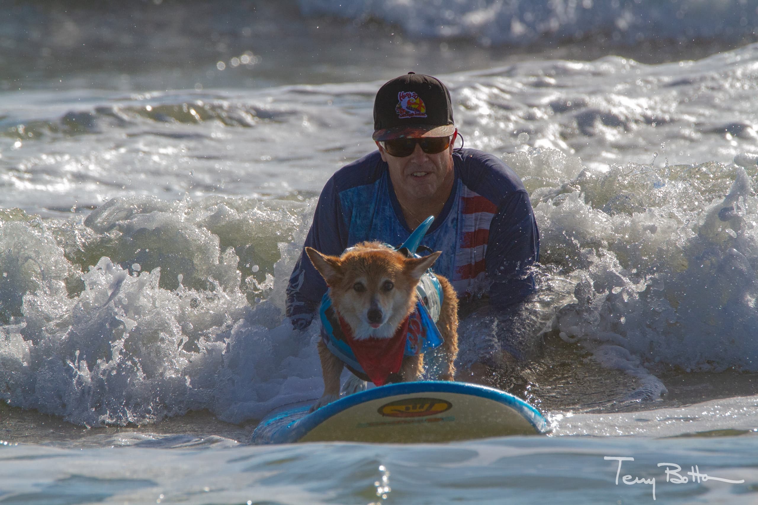 Dog Surfing Classic & Pet Events in St. Augustine FL