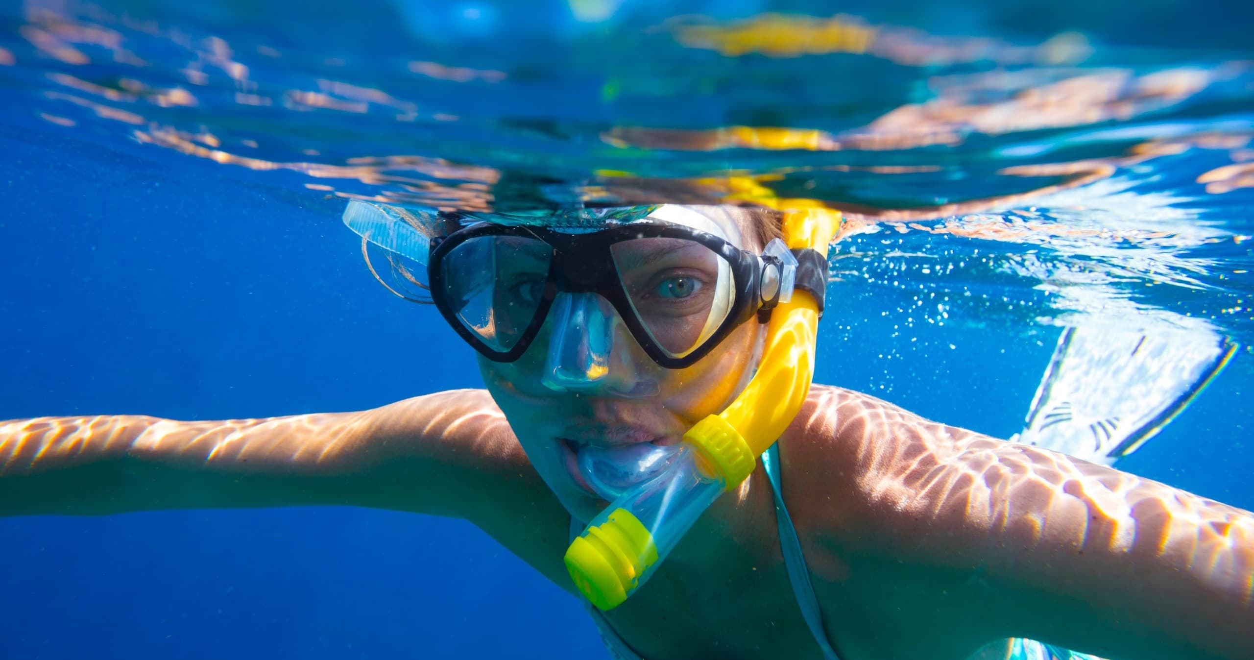 Rider: Half-Day Reef & Cenote Boat Experience with DiveMike in Playa del Carmen photo 1