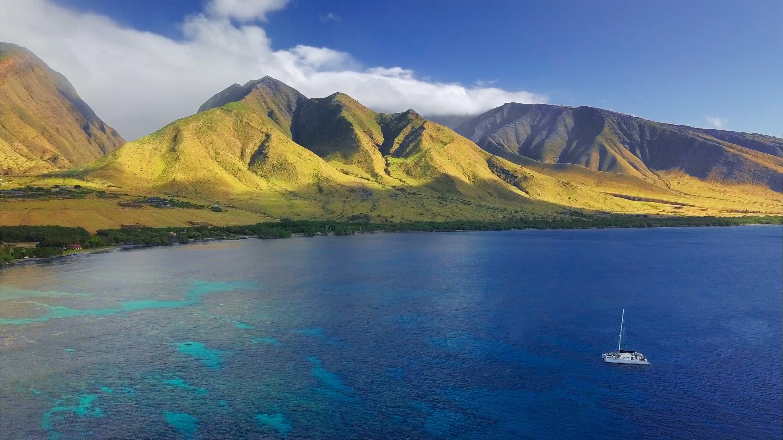Molokini & Mai Tai Adventure: Afternoon Catamaran Snorkel and Open Bar from Maalaea Harbor photo 1