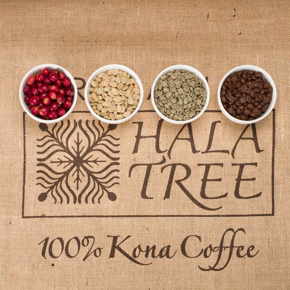 Transparency in Kona Coffee Farming Tour in Captain Cook