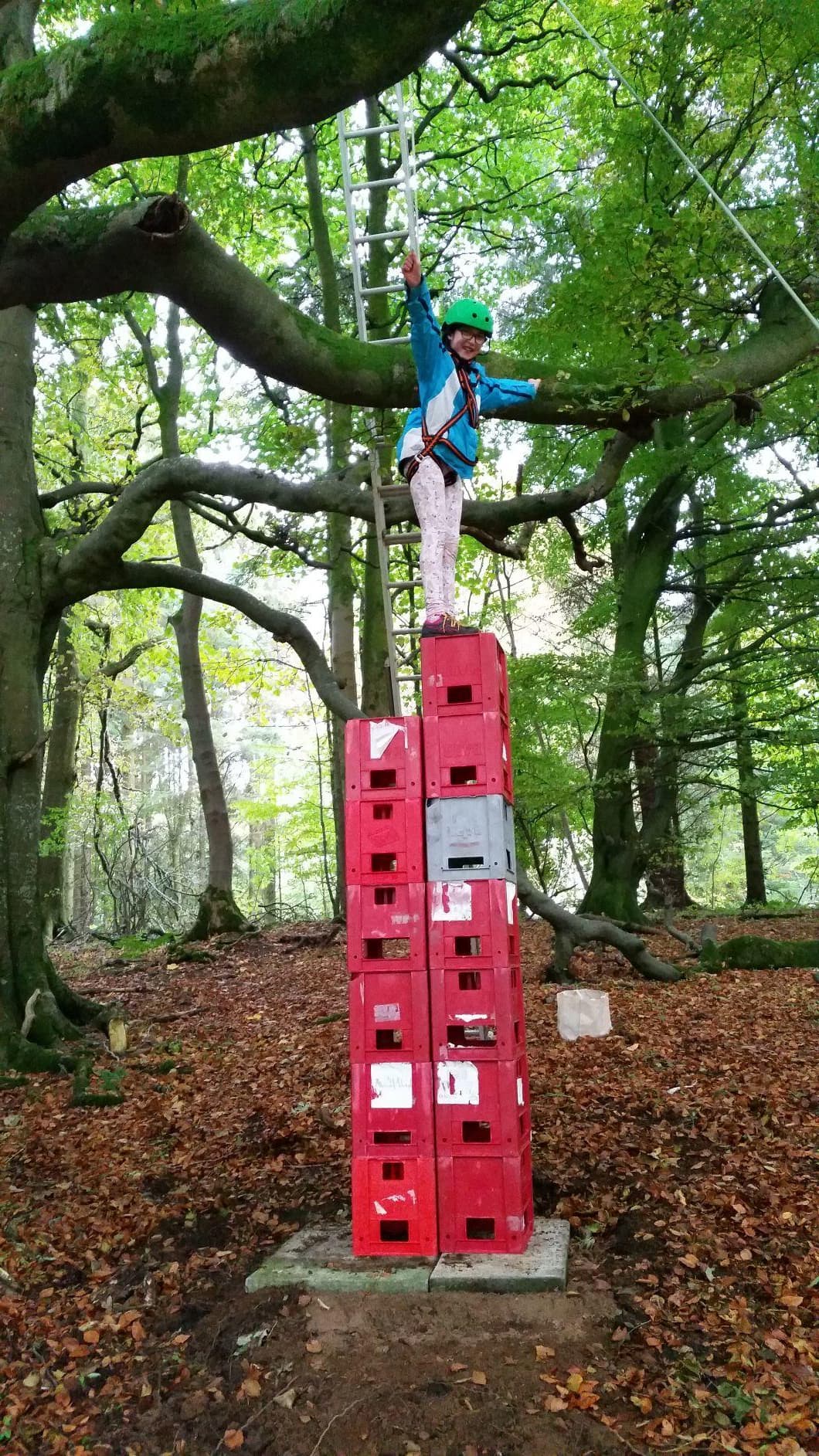 Land Adventures with Crate Stacking at Craufurdland Estate