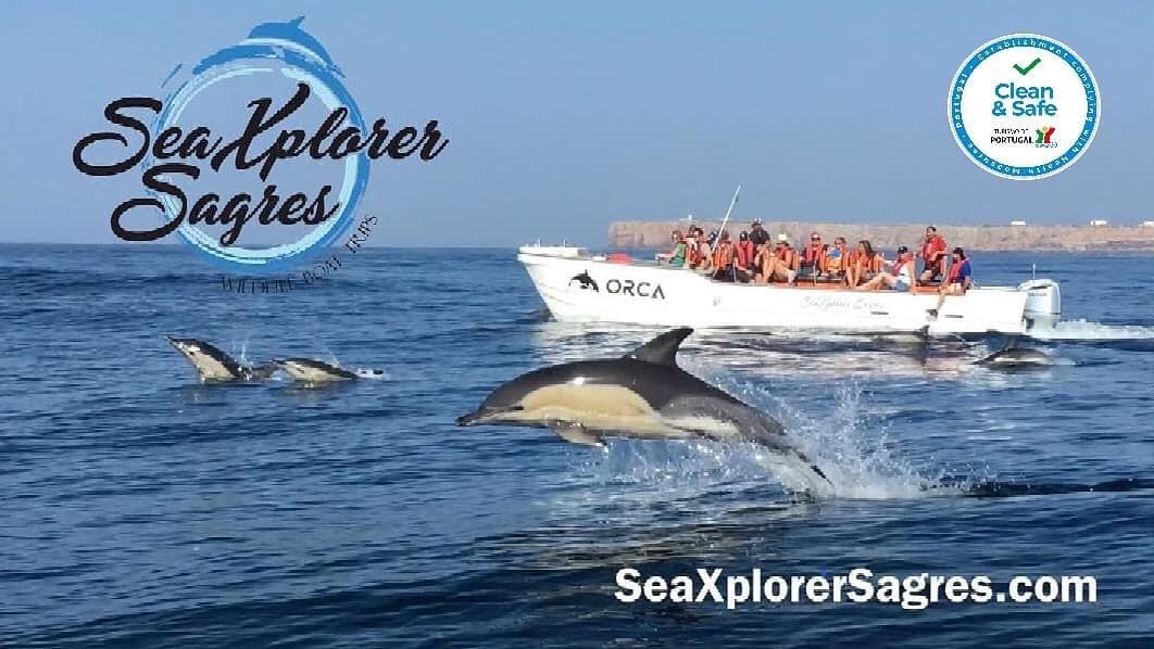 Dolphin & Sea Cave Adventures with SeaXplorer Sagres