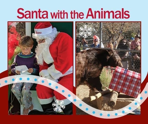Wildlife & Holiday Joy at Heritage Park Zoological Sanctuary