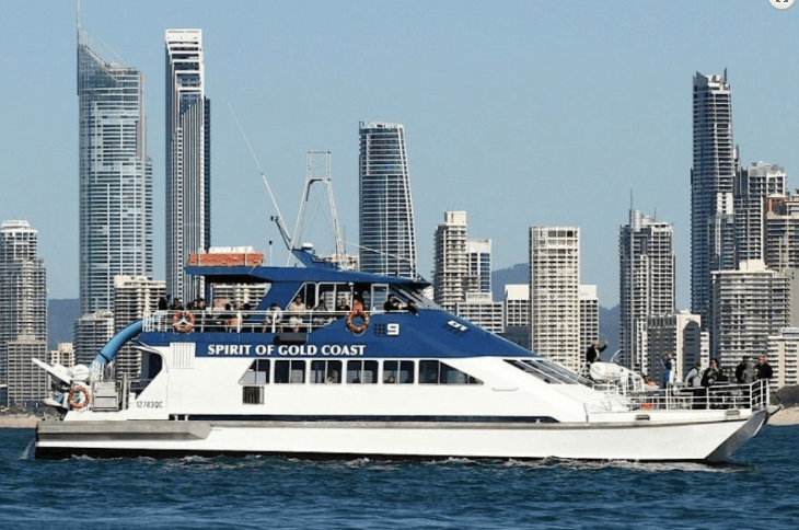 Sightseeing whale-watching vessel with city skyline backdrop on ocean
