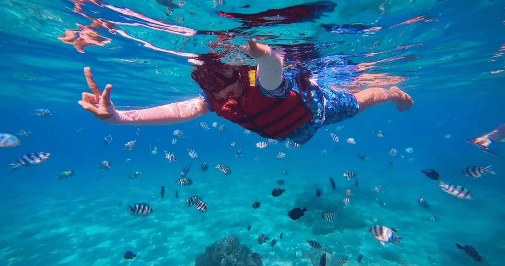 Snorkeler among colorful reef fish in clear Caribbean waters