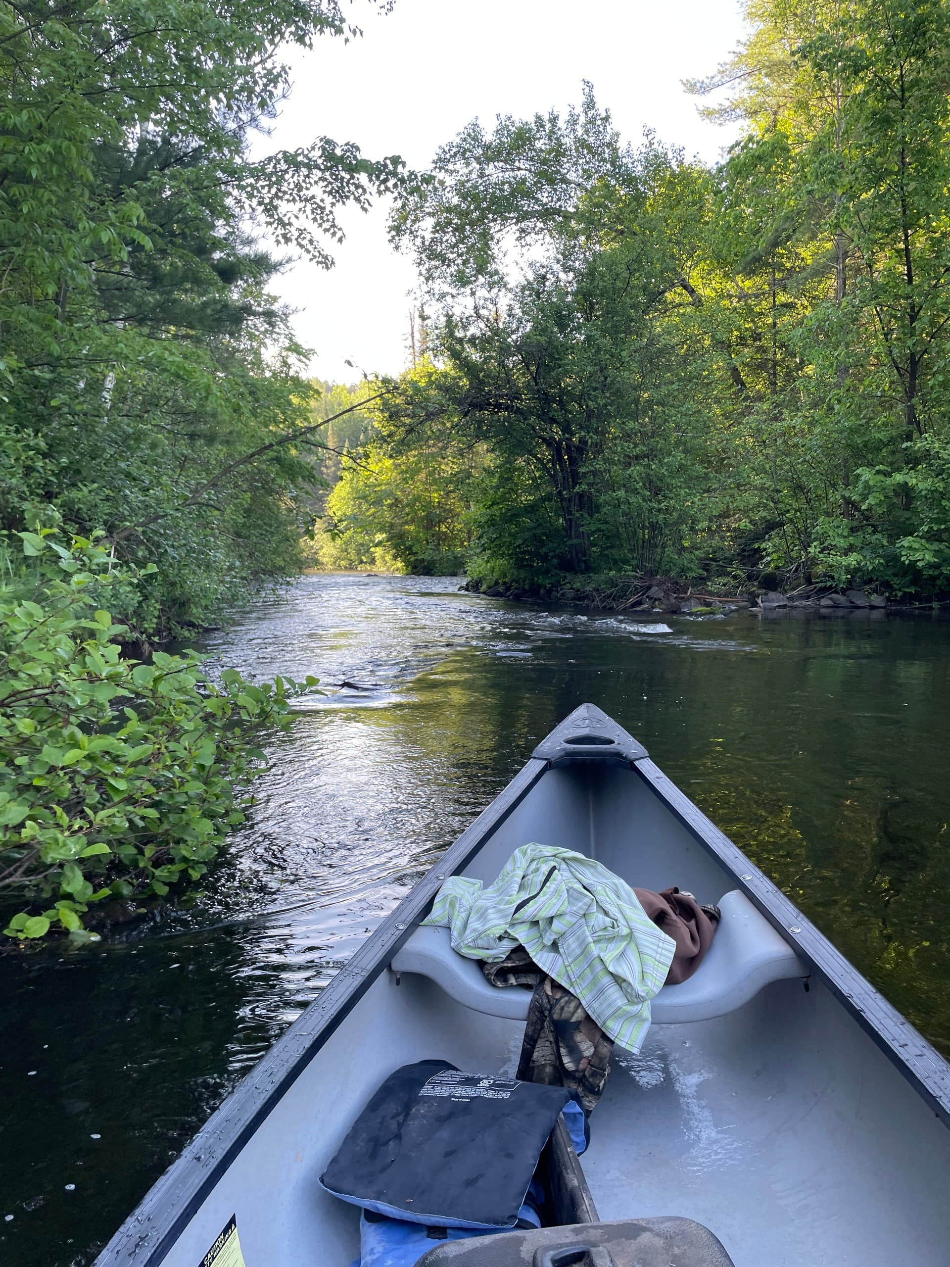 One-Hour Brule River Canoe and Kayak Runs — Winneboujou DNR Shuttle Trips photo 2
