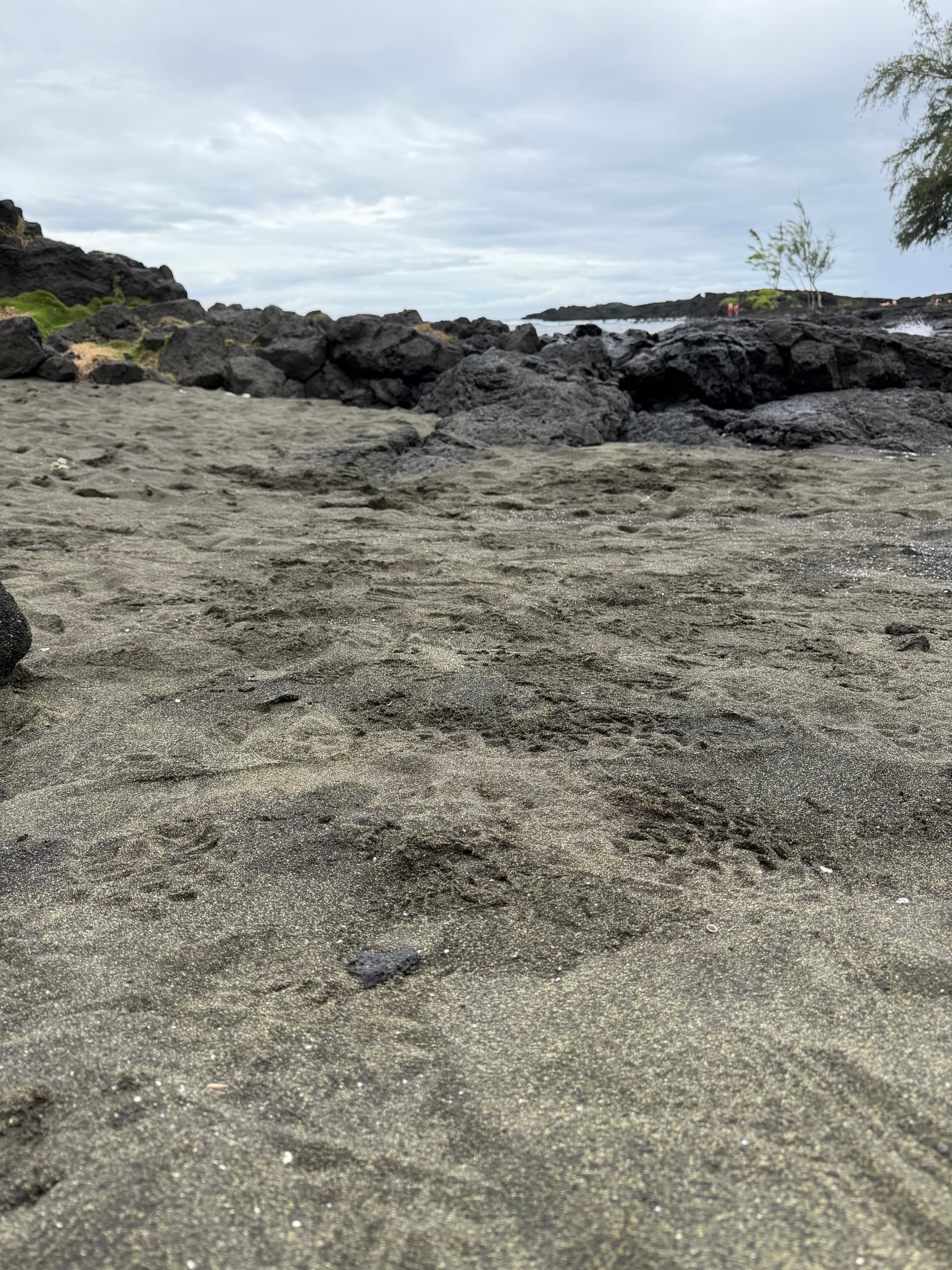 Ultimate Hilo & Volcano Private Adventure — 7-Hour Tour of Hawaiʻi Volcanoes National Park photo 1