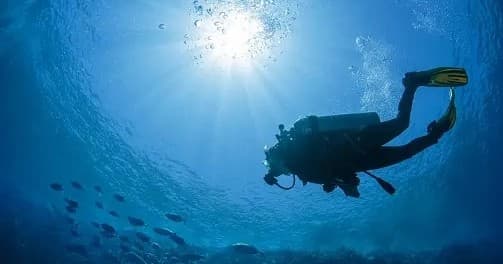 Scuba diver descending in sunlit open-water environment