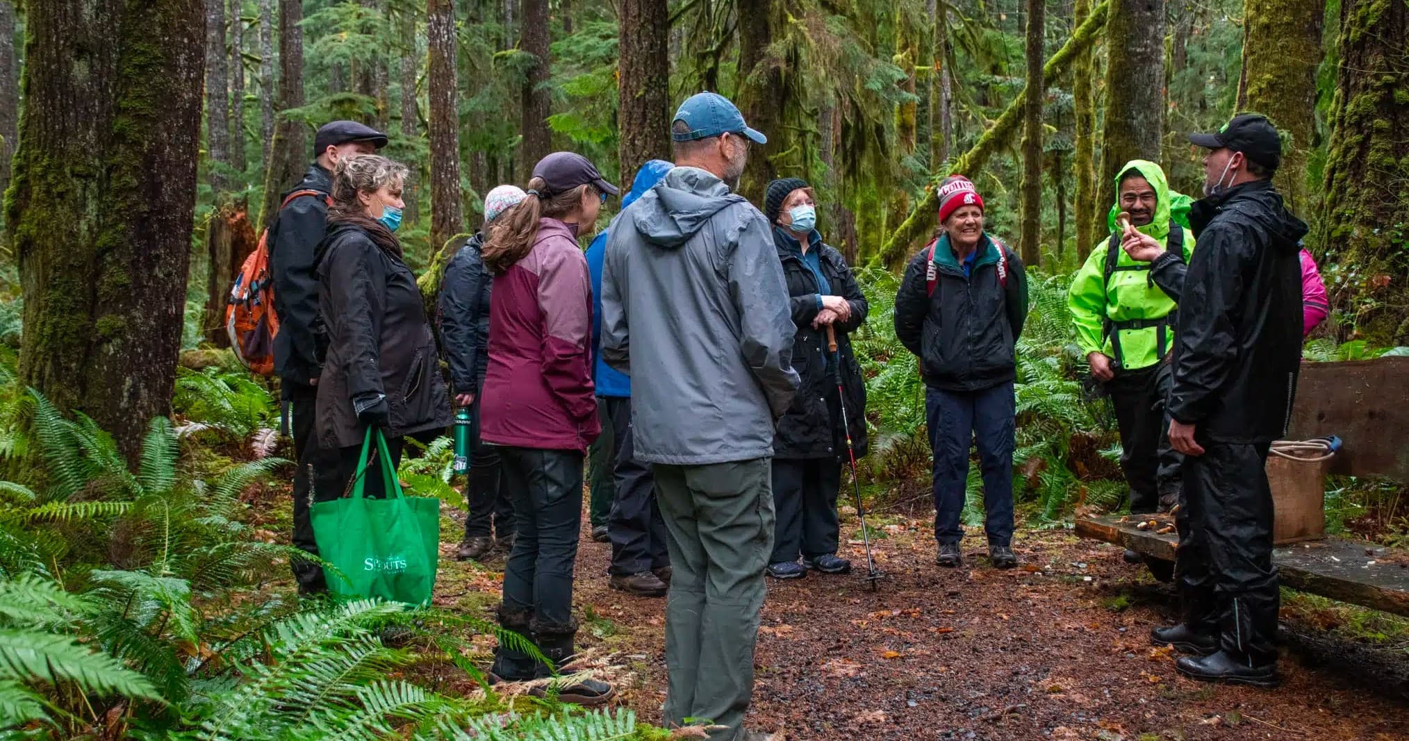 Wild Mushroom Foraging & Identification with Hood Canal Adventures
