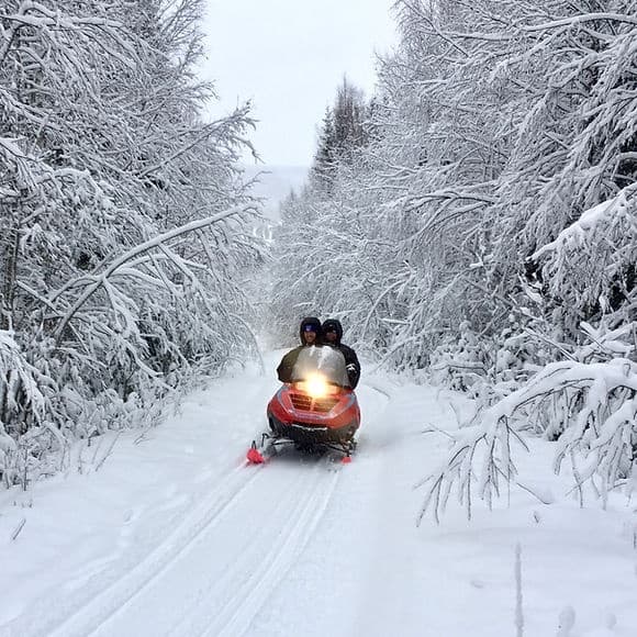 Swedish Winter Thrills: Farm Backsjön’s Snowmobile Safari in Sollefteå