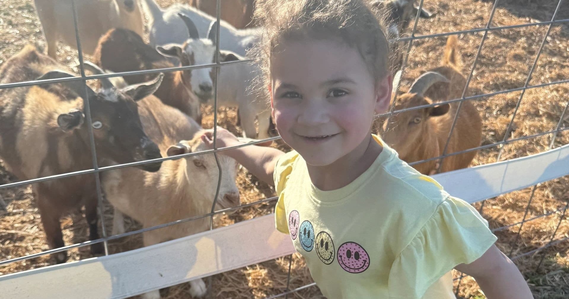Child petting goats at farm fence during outdoor visit