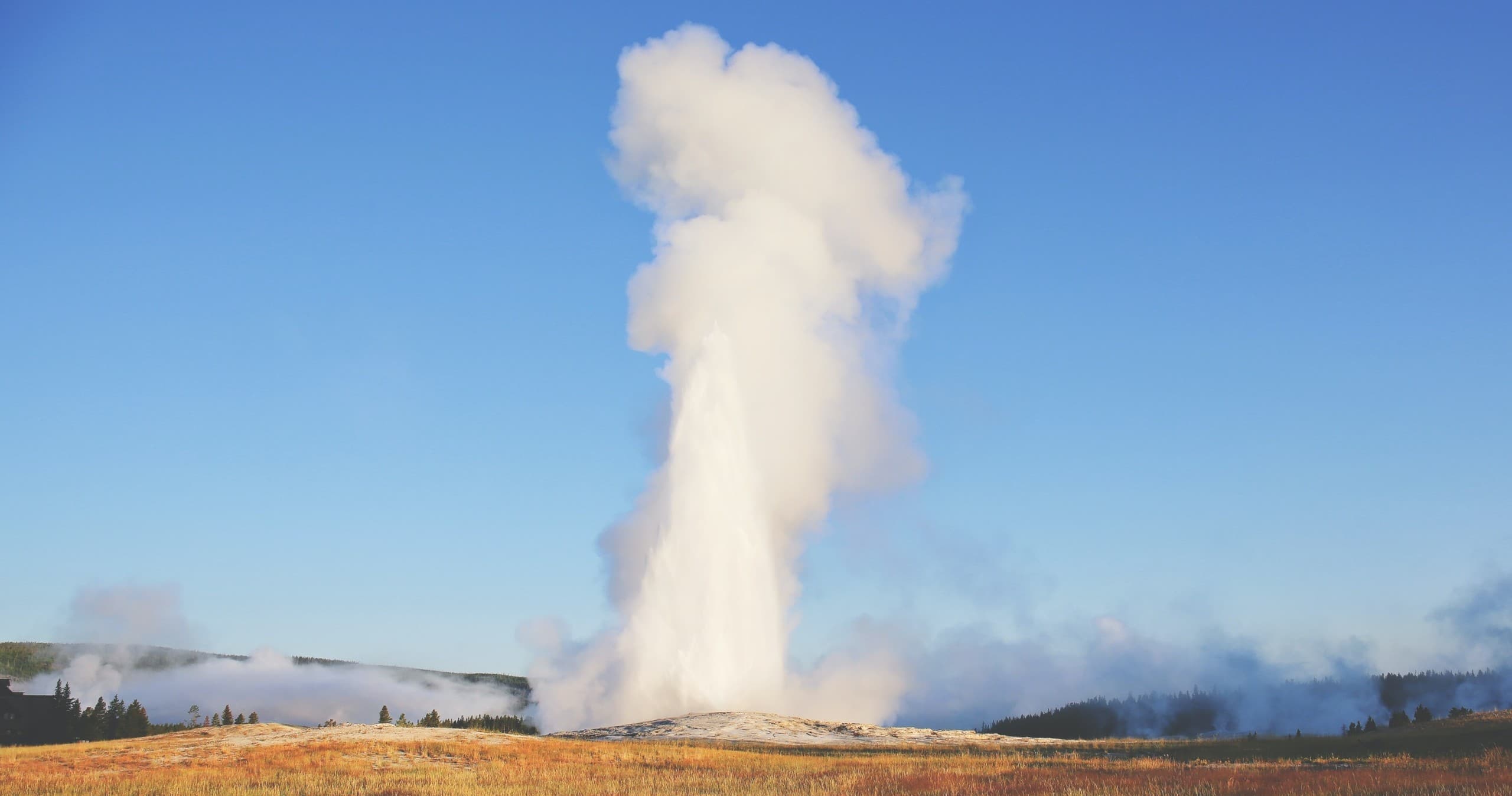 Private VIP Yellowstone Lower Loop Adventure All-Day Tour with Lunch - Iconic Sites | Private in Farmington, Montana