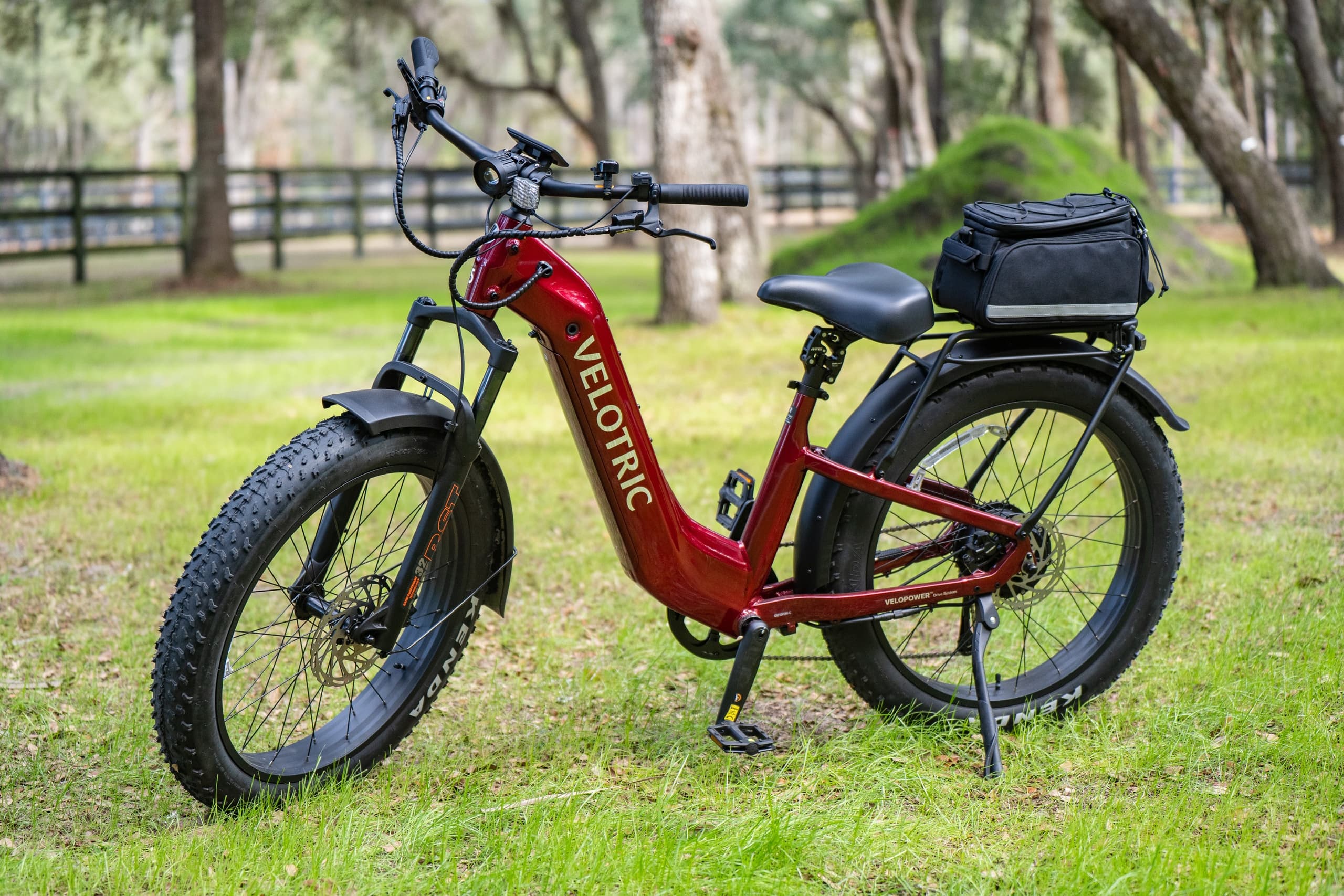 Goethe State Forest Guided E-Bike Tour: Black Prong's One-Hour Wild Florida Ride photo 2