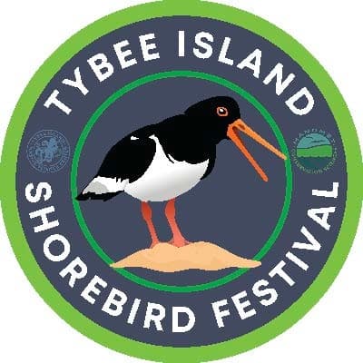 Explore Coastal Conservation: Tybee Spring Shorebird Panel on Tybee Island, Georgia