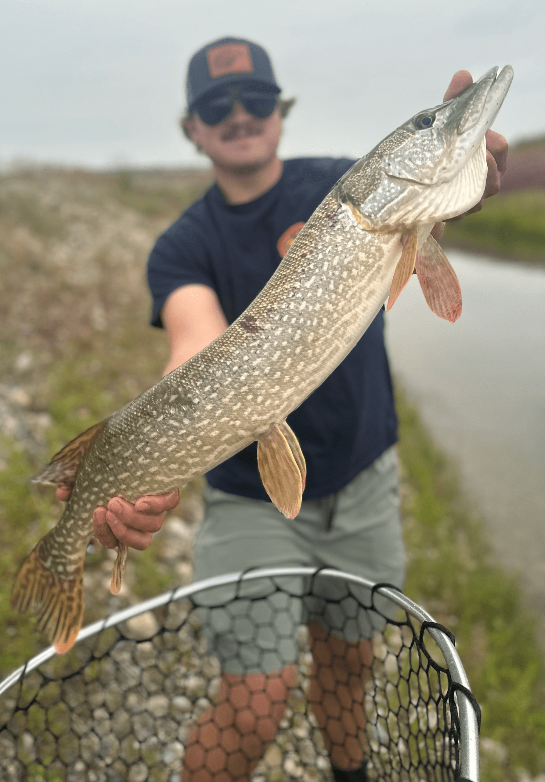 Pike On The Fly: Guided Northern Pike Fly-Fishing Near Calgary photo 3