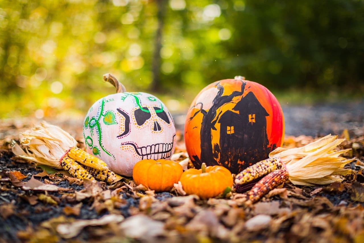 Explore Wheelbarrow Pumpkin Patch: A Family-Friendly Halloween Adventure in County Wicklow