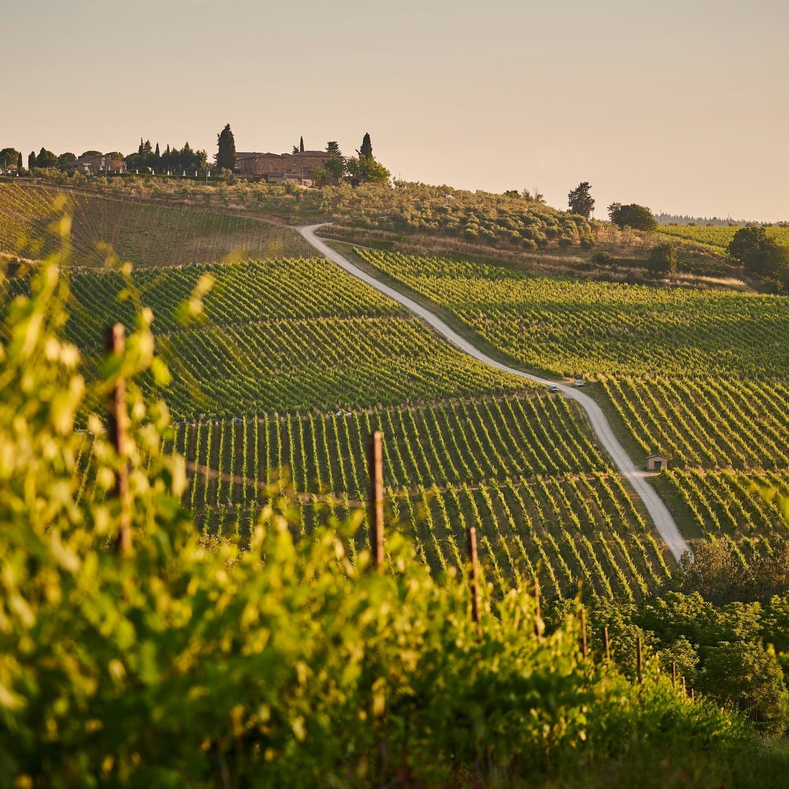 Florence Day Trip: Cortona, Assisi & Perugia | Tuscany & Umbria Private Tour photo 2