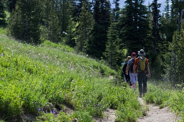 Olympic Full Day Small Group Tour with Good Trip Adventures in Montana