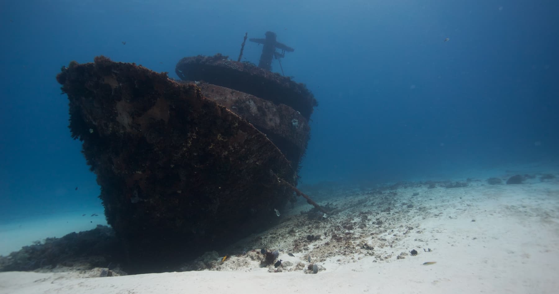 Playa del Carmen 4-Day 8-Tank Dive Package — Reefs, Wrecks & Turtles
