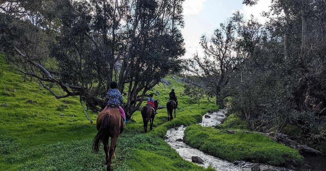 Jarrahdale 2 Hour Lazy Sunday Morning Trail Ride — Scenic Horseback Ride in the Jarrahdale Hills
