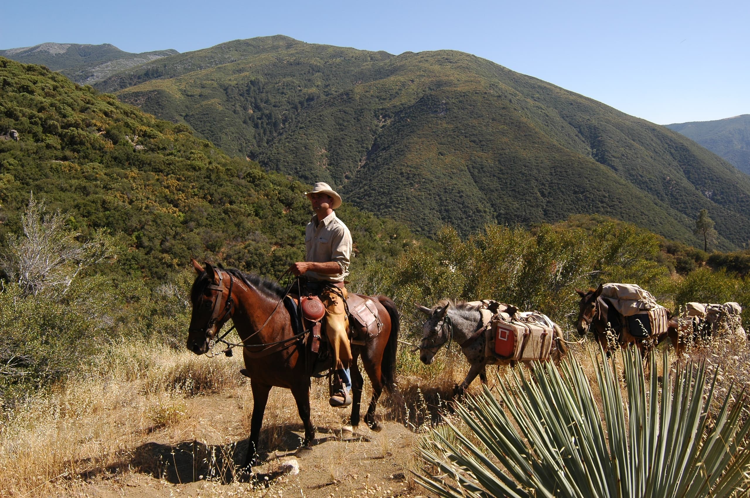 Deluxe Multi Day Pack Trip in Ojai, California