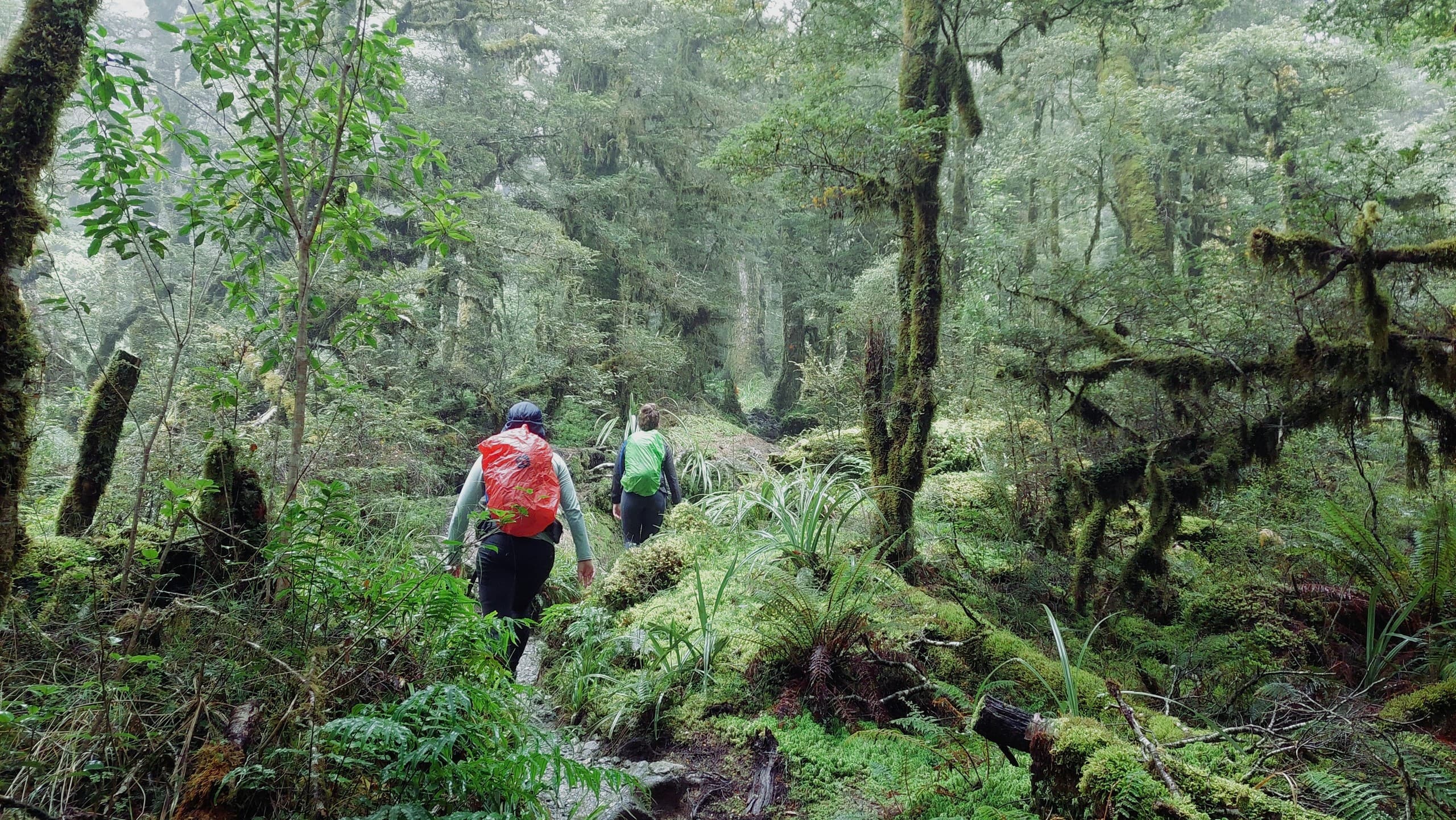 Lake Marian Day Hike: Private Guided Alpine Walk in Fiordland photo 3