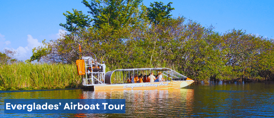 Miami's Half-Day Everglades Airboat Tour with Stellar Miami Tours LLC