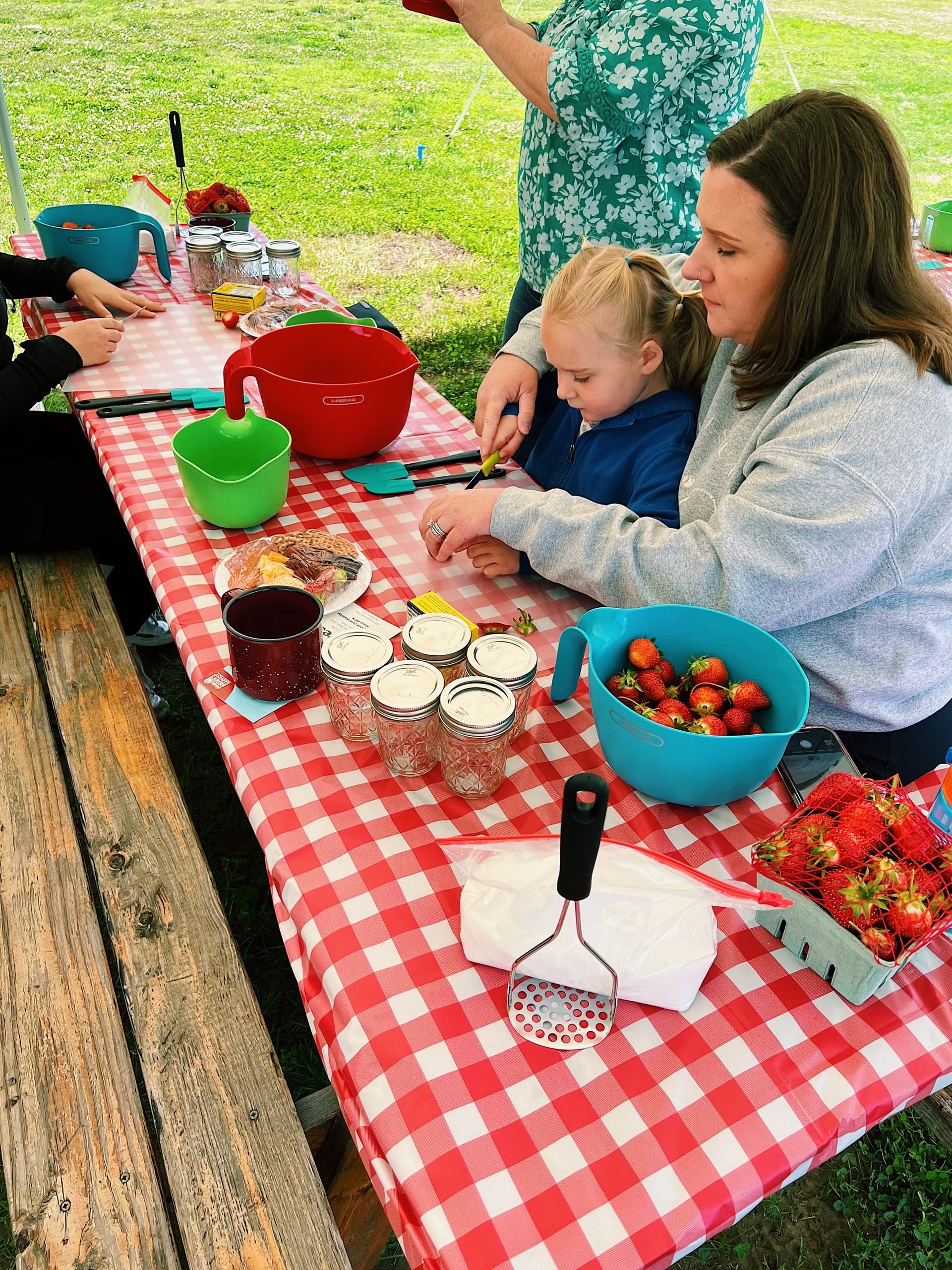Make Strawberry Freezer Jam at Brown's Harvest: Hands-On Farm Workshop 2026 photo 1