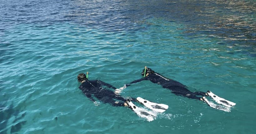 Water Activities & Snorkel Medes at La Sirena Diving Center