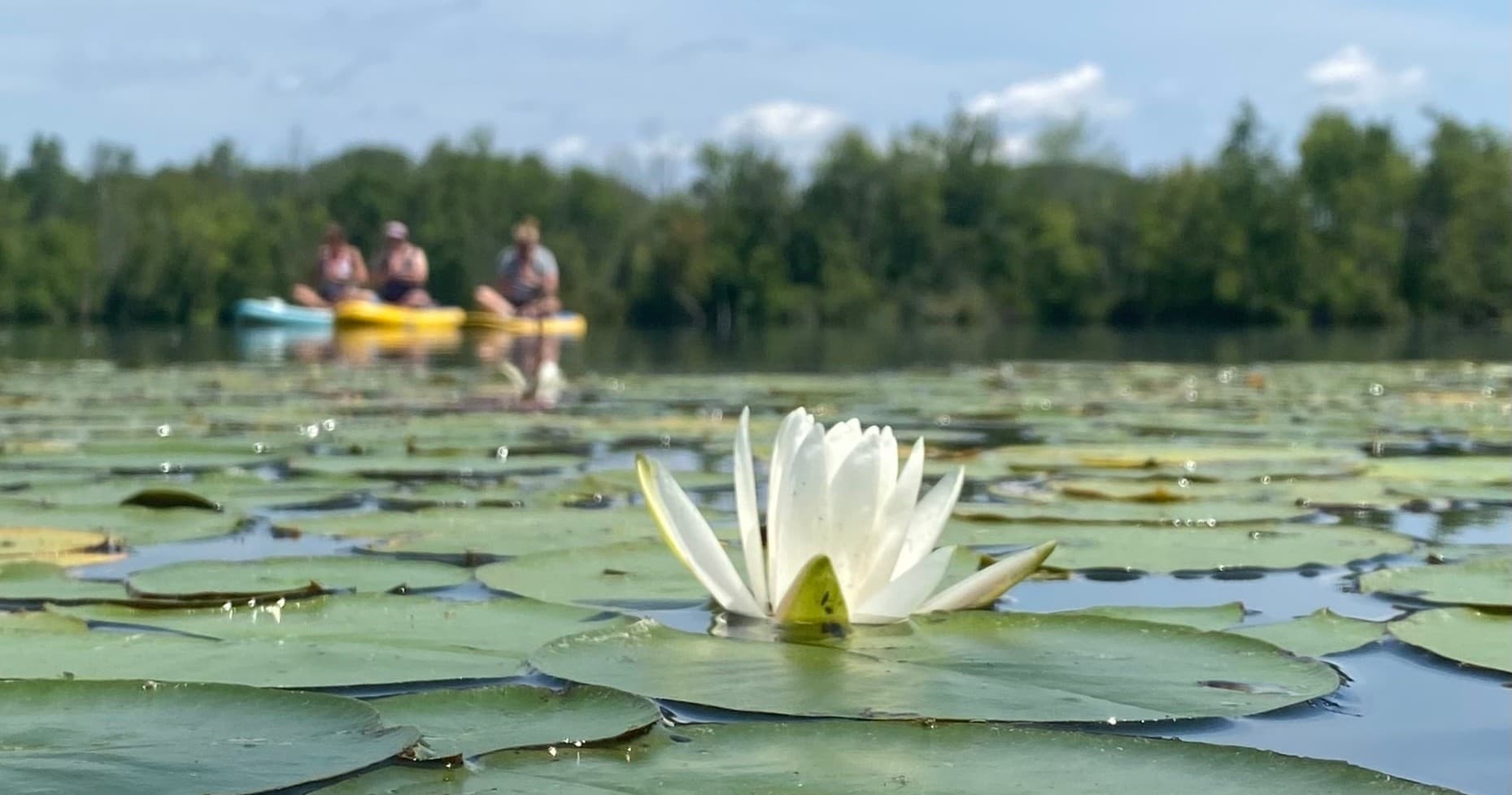 Water Activities at Elements Yoga and Paddleboard in Round Lake Monroe