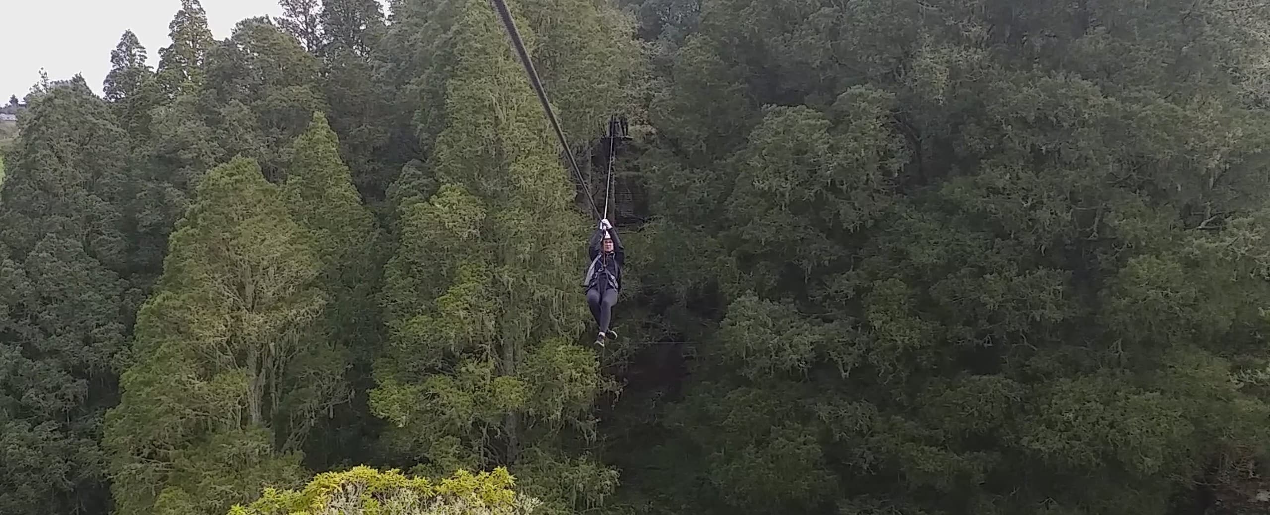 Waitomo 1 Kilometer Zipline: Soar Over Limestone Bluffs & Native Forest photo 4