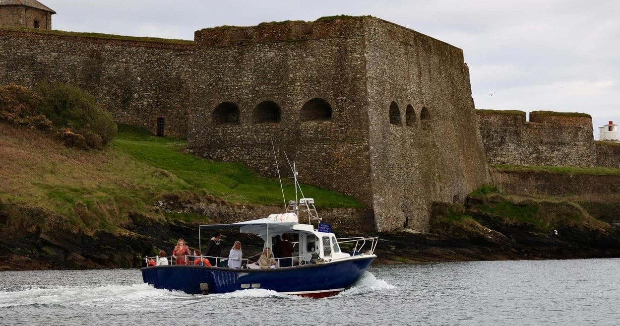 Wildlife & Harbour Tours with Kinsale Ocean Adventures in Co. Cork