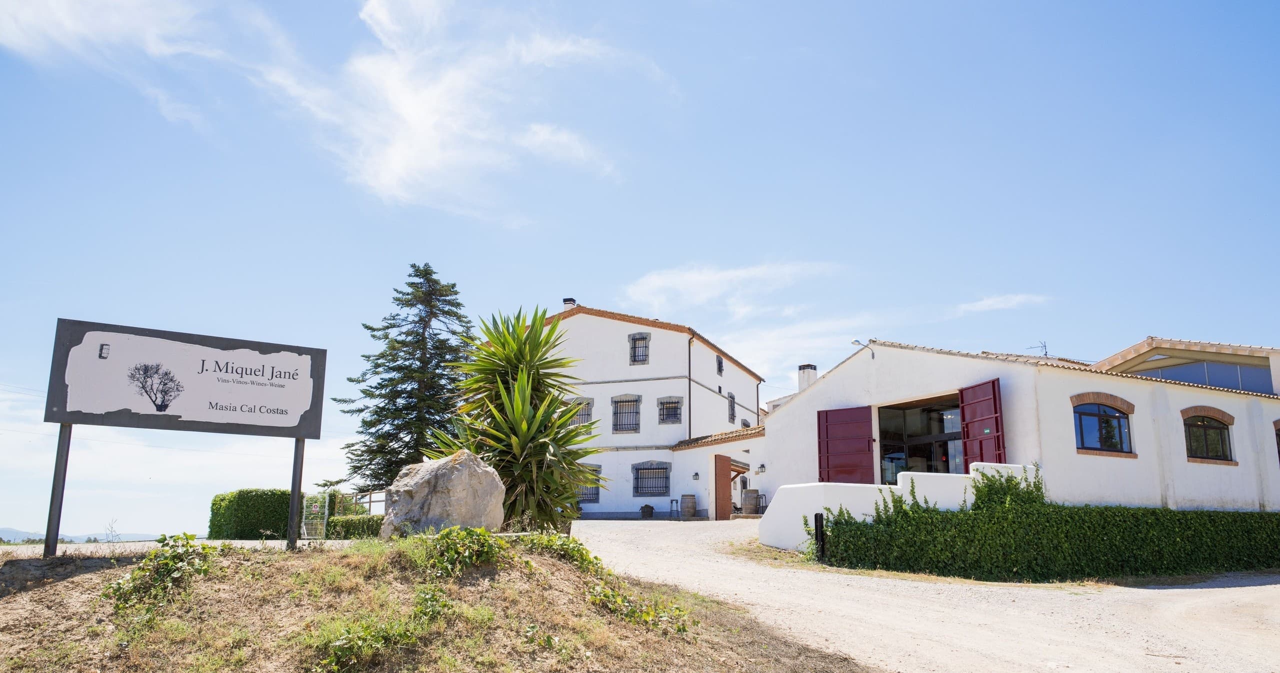 White farmhouse winery exterior beside vineyards under blue sky