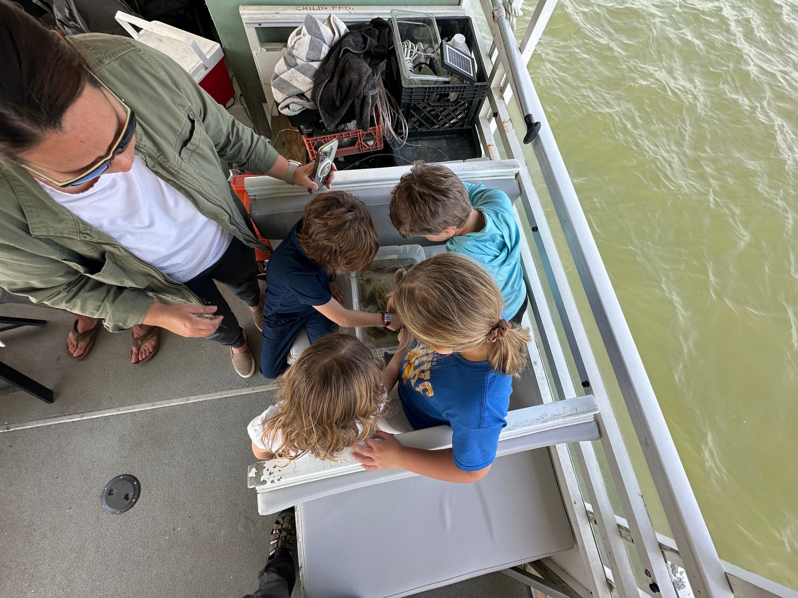 Salt-Marsh Eco Adventure: Savannah Dolphin & Wild Islands Cruise photo 1