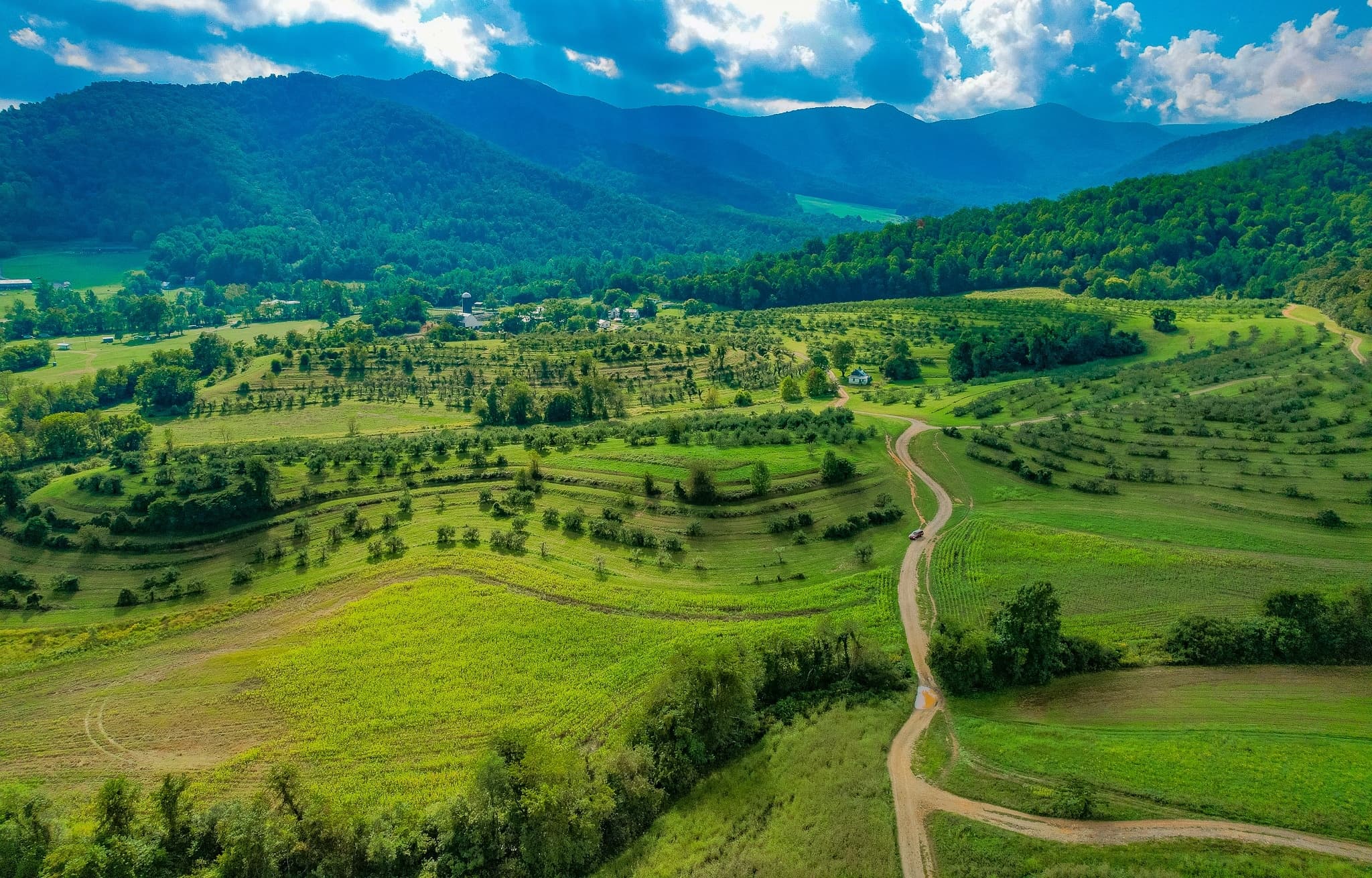 Blue Trail Hikes at Graves Mountain Farm, Virginia