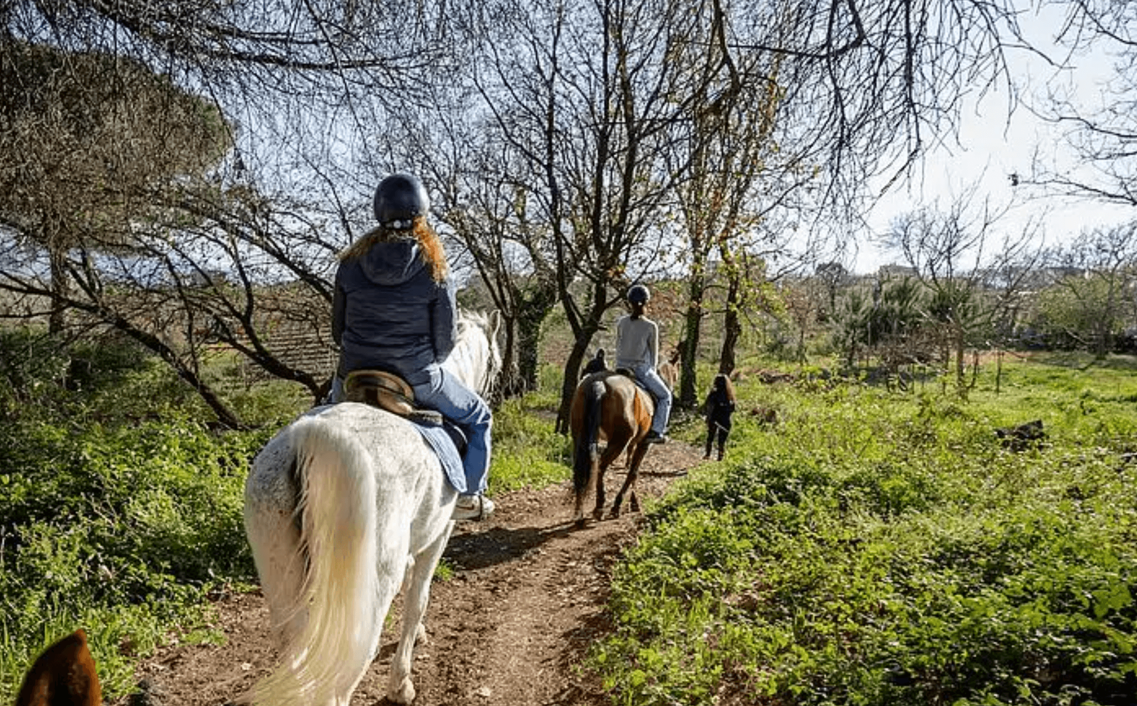 Land Adventures: Horseback Riding on Vesuvius with The Adventure Collective