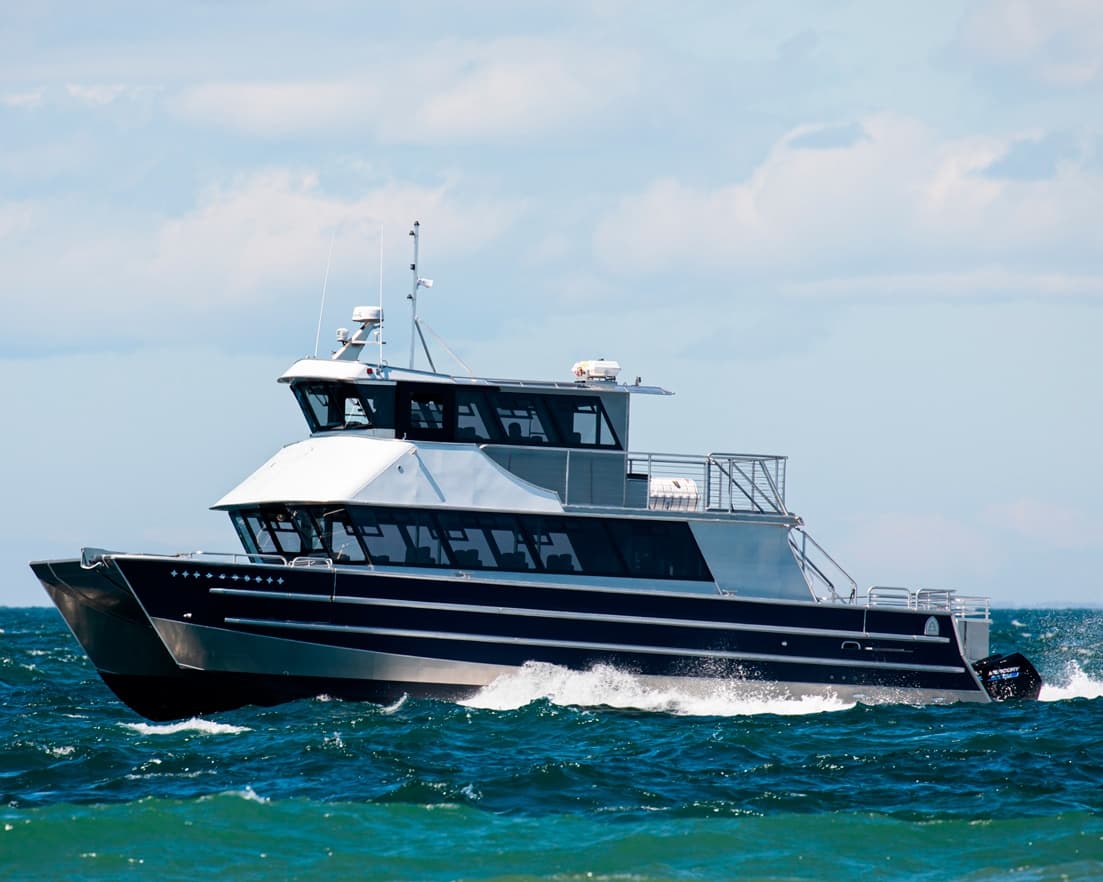 Wildlife & Whale Watching Tour with Olympic Tours LLC