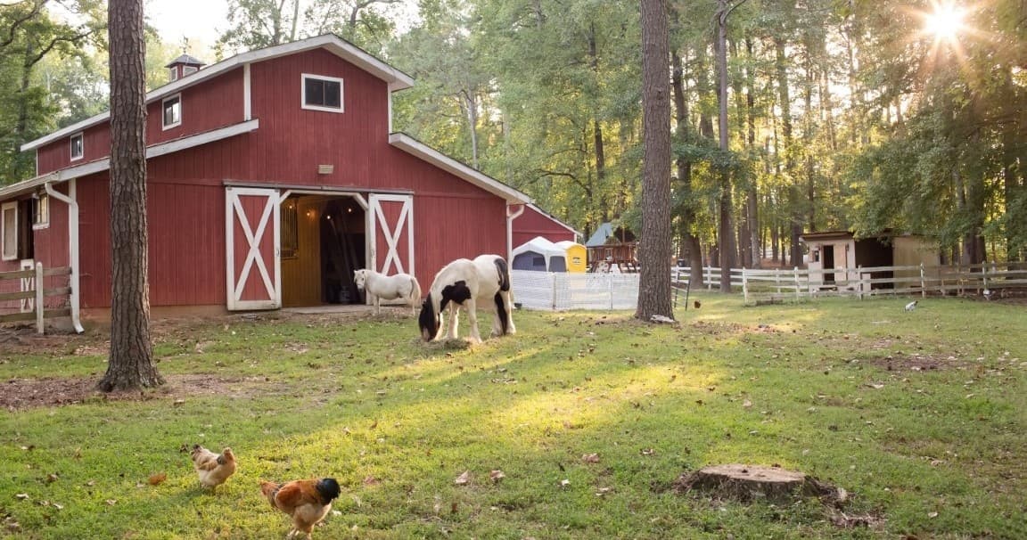 Experience Medieval Farm Fest and Unicorn Day in Zebulon, NC: Sword Fighting, Belly Dance & Magical Moments