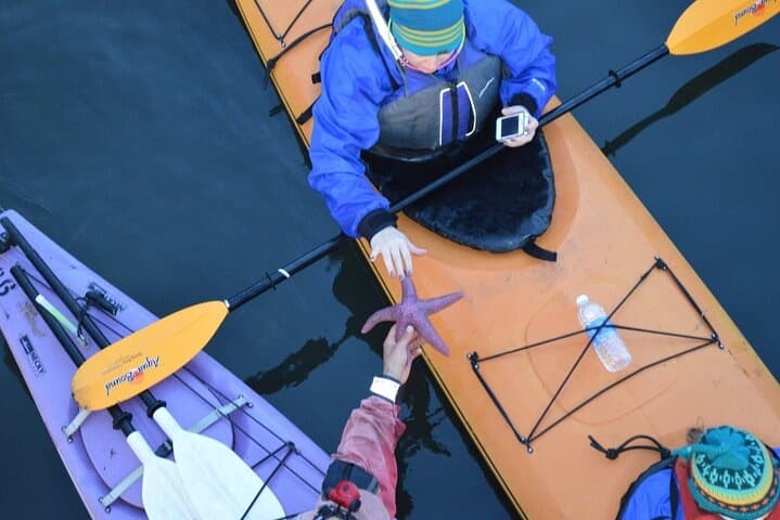 Tomales Point Exploration: Guided Kayak Wildlife Tour on Tomales Bay photo 4