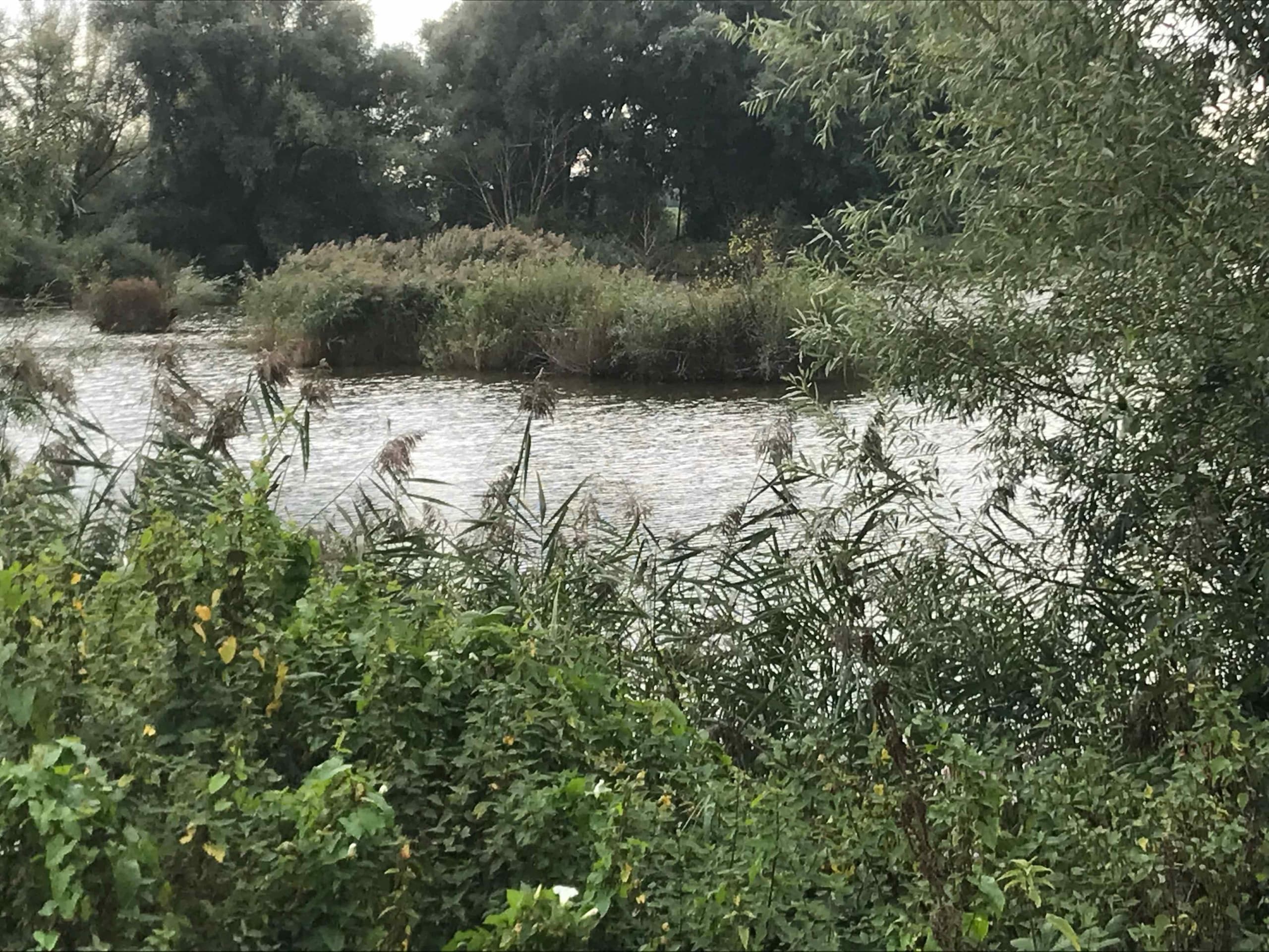Water Activities & Nature Tour at De Blauwe Bever in Wageningen